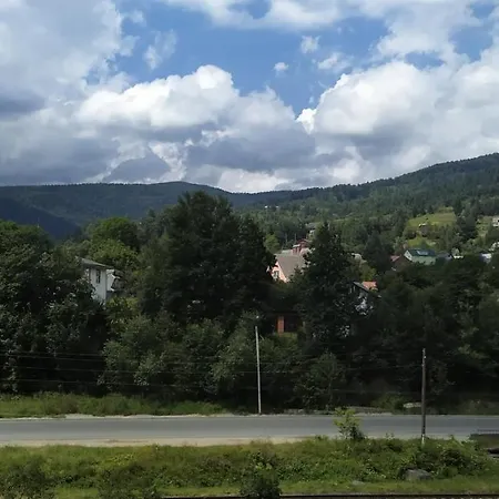 Shafran Jaremče