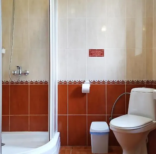 Guest house Shafran